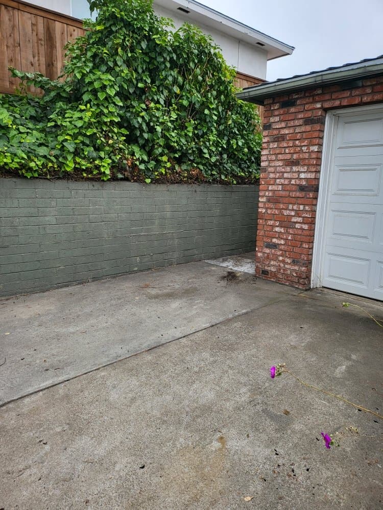 The same San Diego driveway swept clean after Junk N Haul removed the junk